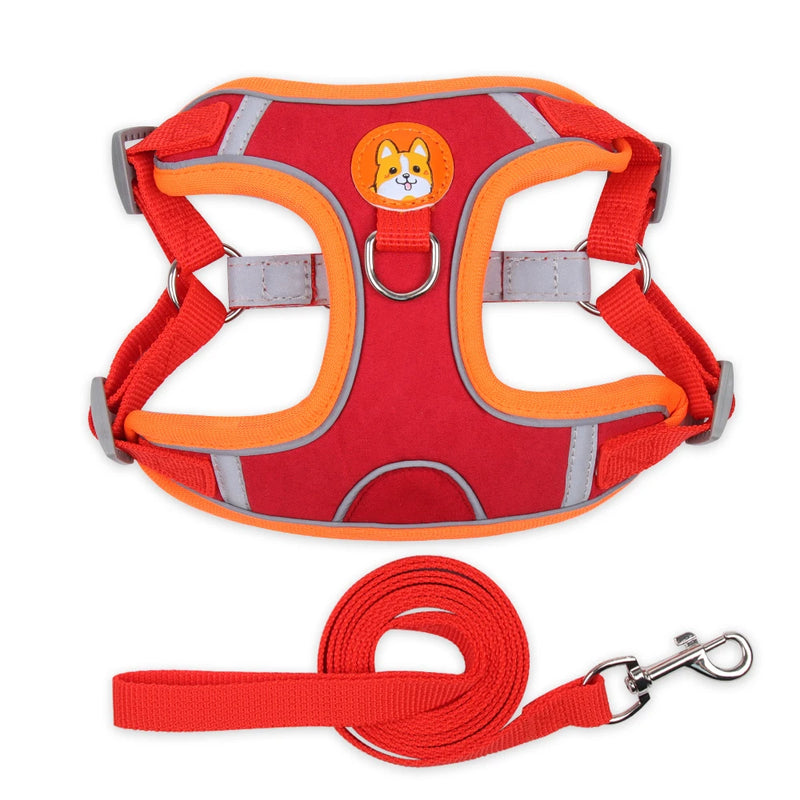 Conjunto de Peitoral Ajustável e Guia para Cães Pequenos e Médios - Segurança, Conforto e Estilo em Passeios Incríveis!