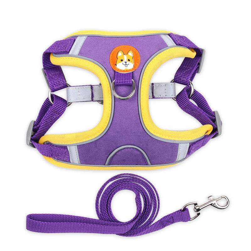 Conjunto de Peitoral Ajustável e Guia para Cães Pequenos e Médios - Segurança, Conforto e Estilo em Passeios Incríveis!