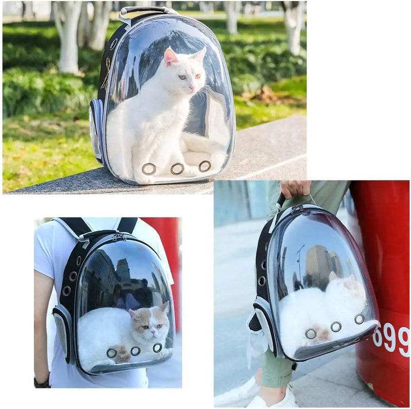 Mochila Transportadora para Gatos e Pequenos Animais - Design Transparente e Confortável