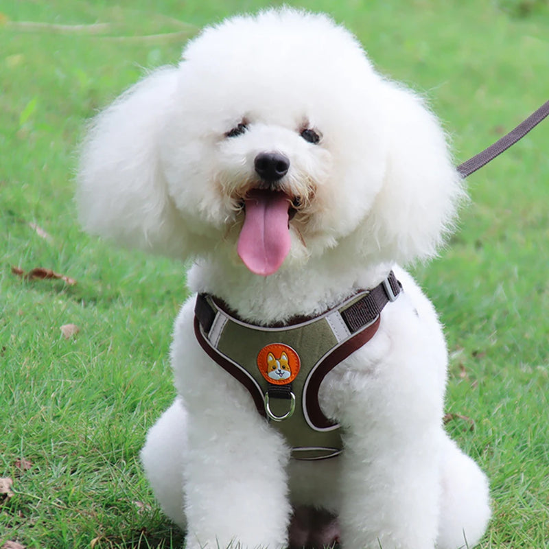 Conjunto de Peitoral Ajustável e Guia para Cães Pequenos e Médios - Segurança, Conforto e Estilo em Passeios Incríveis!