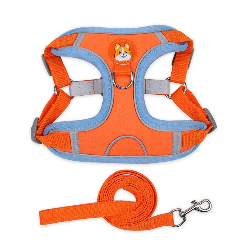 Conjunto de Peitoral Ajustável e Guia para Cães Pequenos e Médios - Segurança, Conforto e Estilo em Passeios Incríveis!