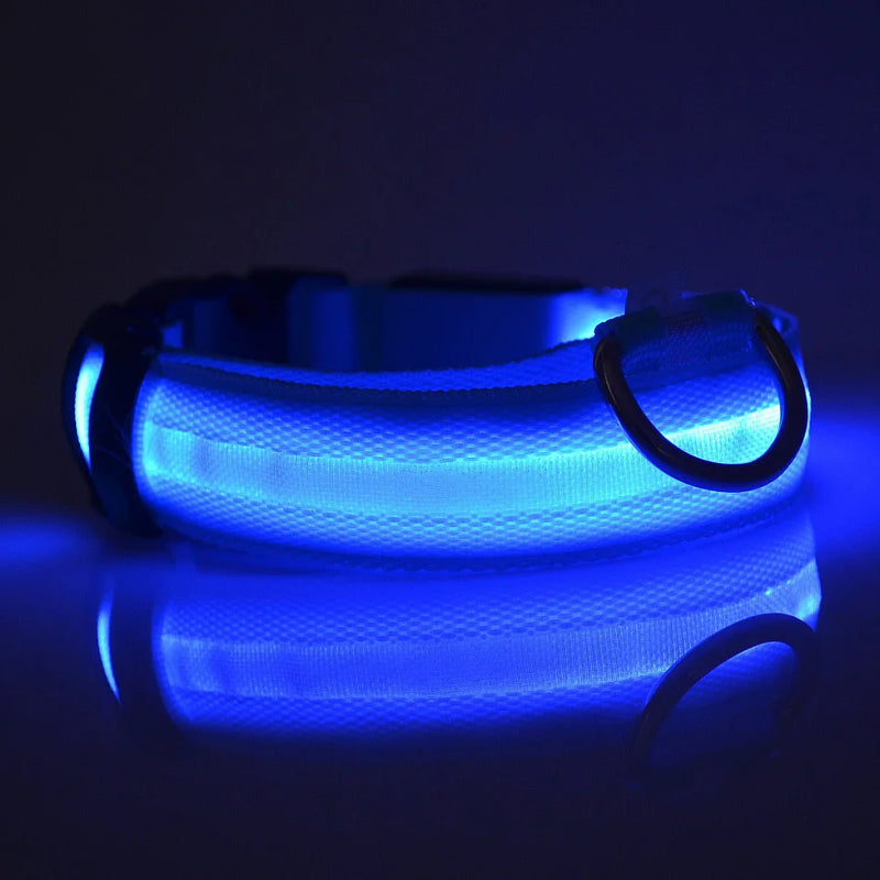 Nylon LED Night Safety Flashing Glow In The Dark Dog Leash Dogs Luminous Fluorescent Pet Dog Collar