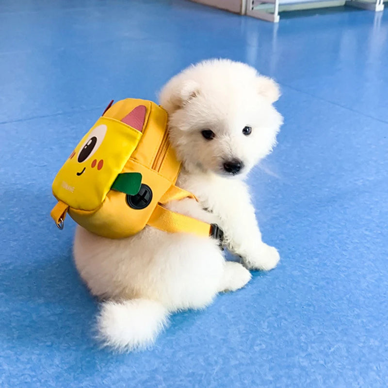 Coleira com Bolsa Escolar para Cães Pequenos - Estilo Personalizado e Funcional