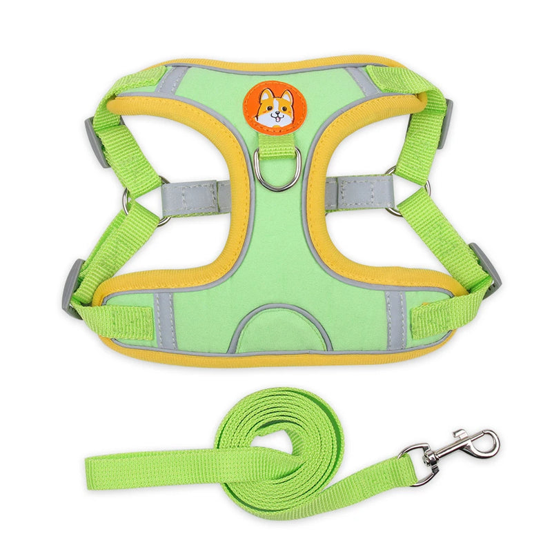 Conjunto de Peitoral Ajustável e Guia para Cães Pequenos e Médios - Segurança, Conforto e Estilo em Passeios Incríveis!