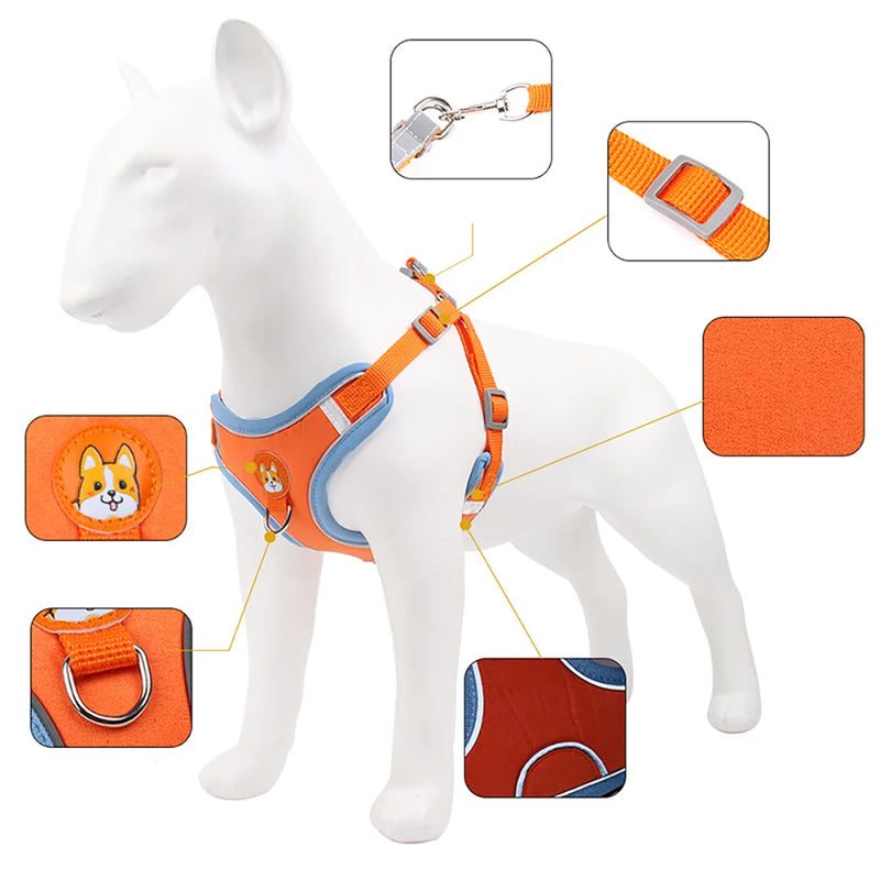 Conjunto de Peitoral Ajustável e Guia para Cães Pequenos e Médios - Segurança, Conforto e Estilo em Passeios Incríveis!