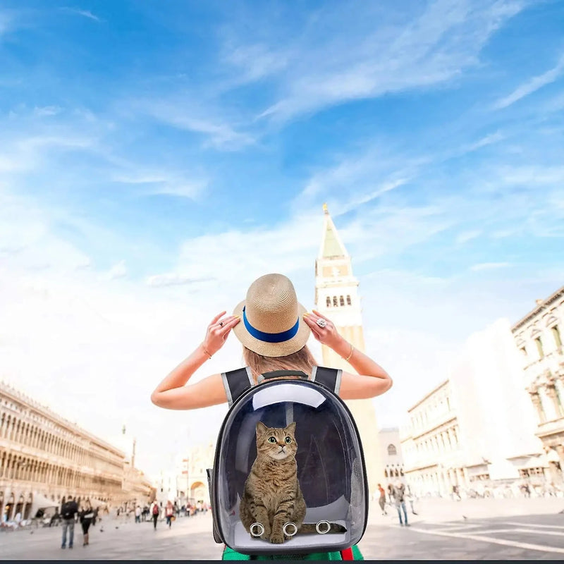 Mochila Transportadora para Gatos e Pequenos Animais - Design Transparente e Confortável