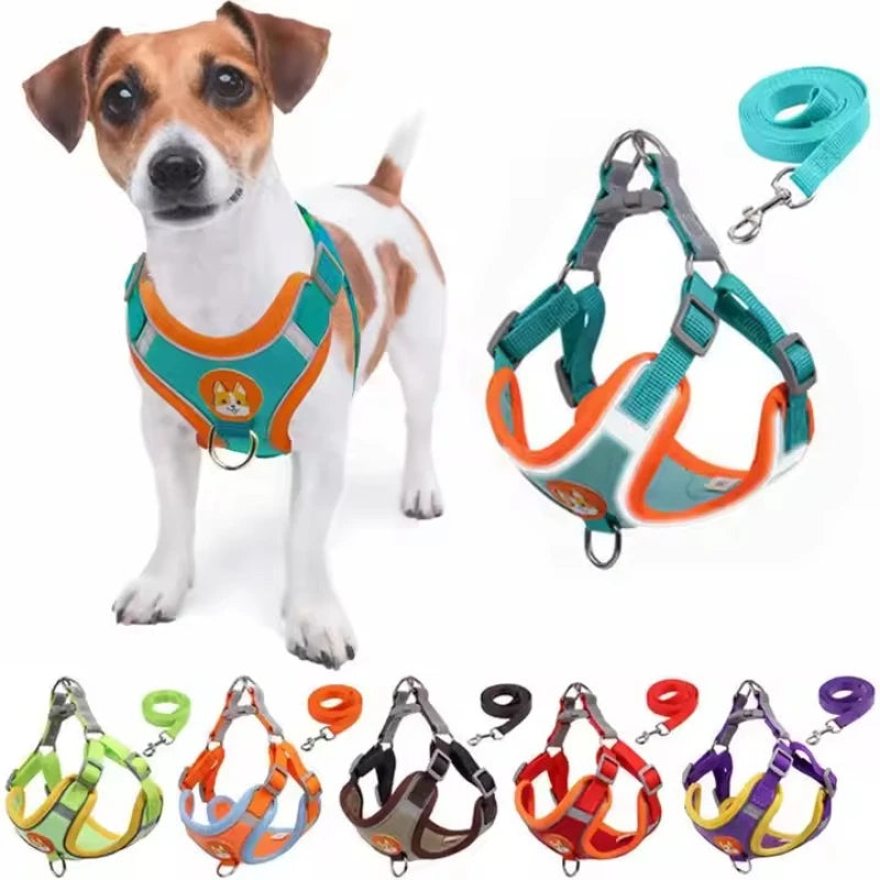 Conjunto de Peitoral Ajustável e Guia para Cães Pequenos e Médios - Segurança, Conforto e Estilo em Passeios Incríveis!