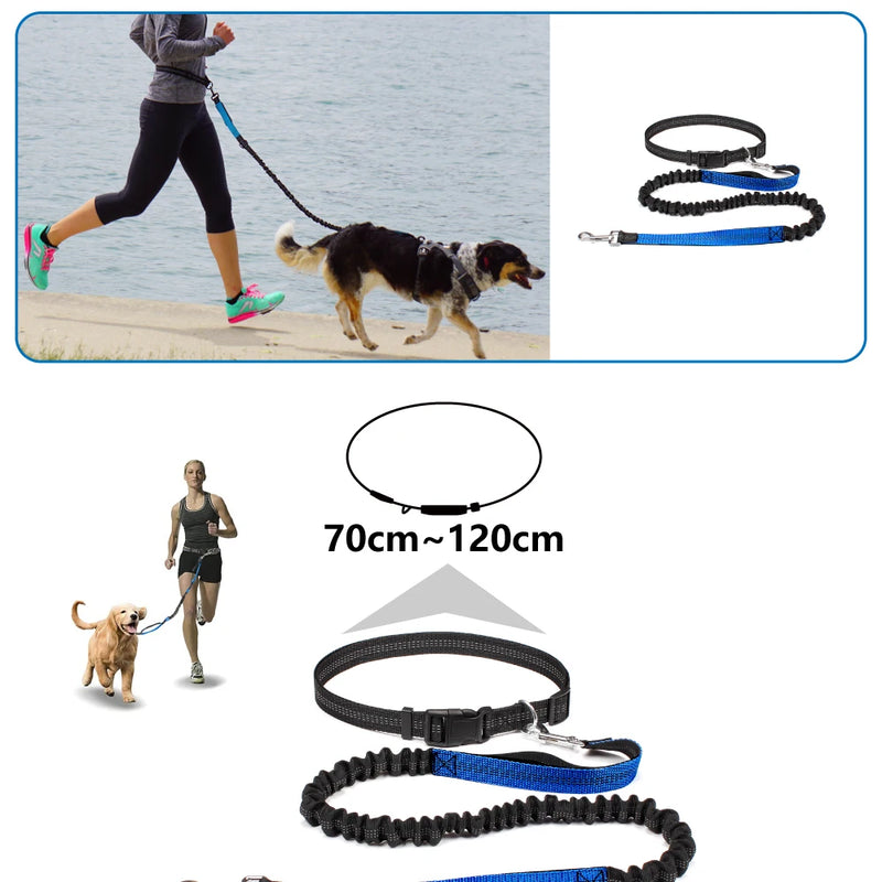 Hand Free Dog Leash for Pet Walking Running Jogging Adjustable Dog leash Waist Belt Chest Strap Traction Rope Dog Accessories