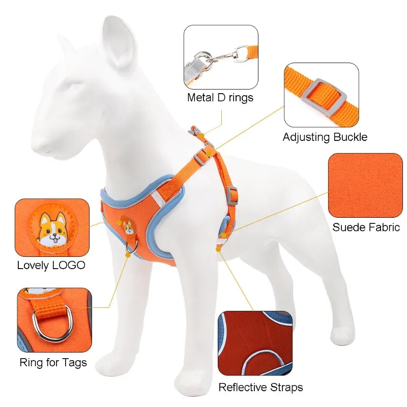 Conjunto de Peitoral Ajustável e Guia para Cães Pequenos e Médios - Segurança, Conforto e Estilo em Passeios Incríveis!