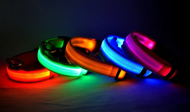 Nylon LED Night Safety Flashing Glow In The Dark Dog Leash Dogs Luminous Fluorescent Pet Dog Collar