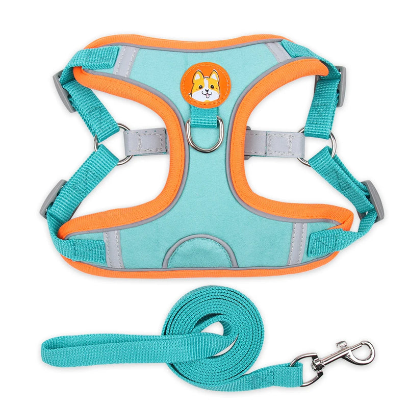 Conjunto de Peitoral Ajustável e Guia para Cães Pequenos e Médios - Segurança, Conforto e Estilo em Passeios Incríveis!